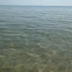 свети йоан кръстител - San Juan Bautista * Βάρνα