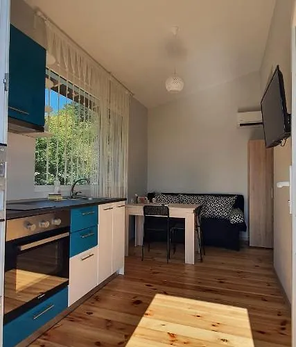 свети йоан кръстител - San Juan Bautista Варна