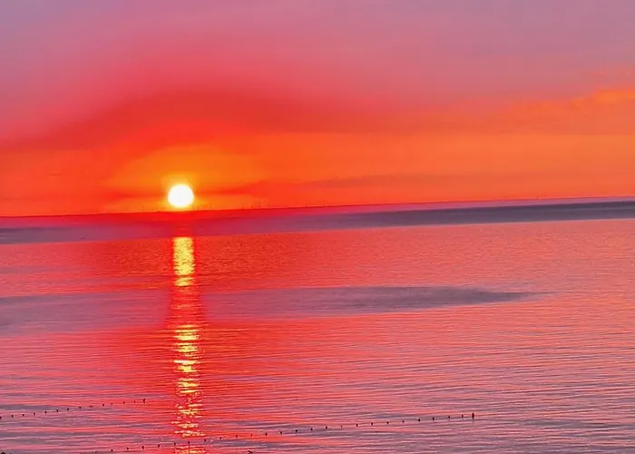 свети йоан кръстител - San Juan Bautista Варна