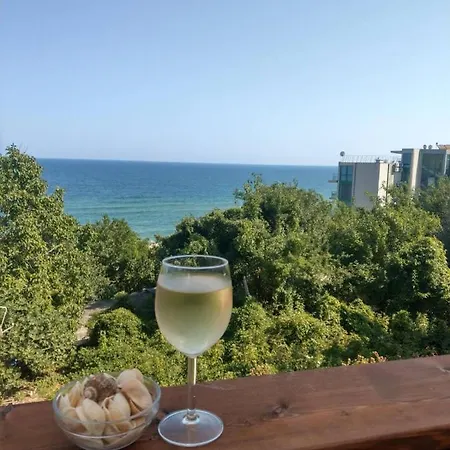 свети йоан кръстител Villa *
