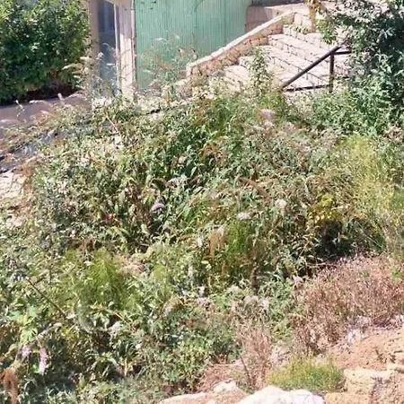 свети йоан кръстител - San Juan Bautista Вилла Варна