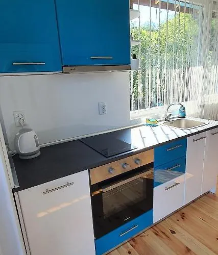 свети йоан кръстител - San Juan Bautista